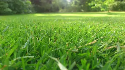 , сурет - Zakon.kz жаңалық 20.11.2025 10:38