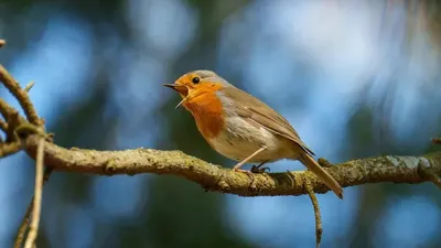 Жылы, Алматы, ауа райы болжамы, 22 қараша, 23 қараша, 24 қараша, 25 қараша, 26 қараша, 27 қараша, 28 қараша, сурет - Zakon.kz жаңалық 21.11.2025 18:57