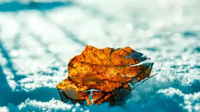 Жауын-шашын, тұман, көктайғақ, 24 қараша, ауа райы болжамы, сурет - Zakon.kz жаңалық 23.11.2025 15:06