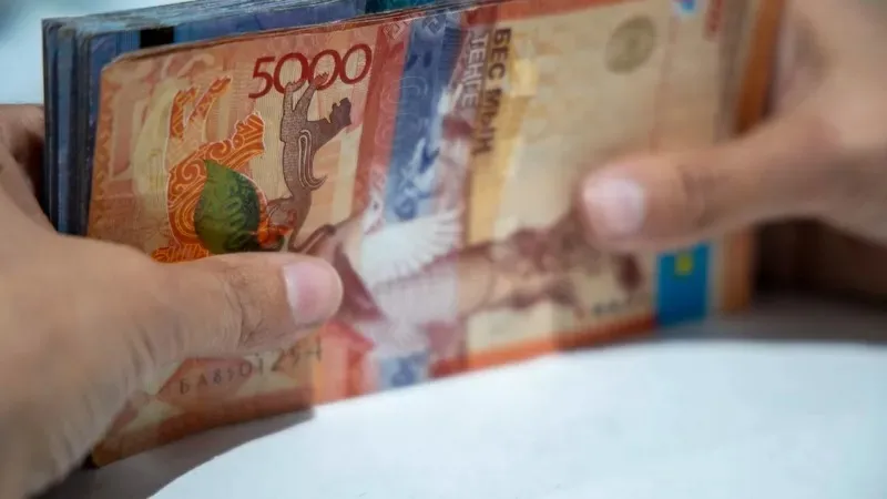 Экономист несие қай кезде адамға қолдау болатынын, ал қай кезде нағыз қорқынышқа айналатынын айтты