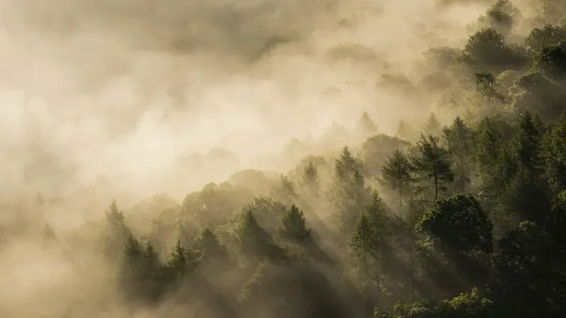 "Қар, көктайғақ, тұман". Астана мен еліміздің 14 өңірінде дауылды ескерту жарияланды