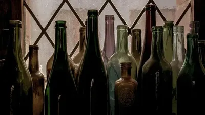 Бөтелке, Жамбыл облысы, Жуалы ауданы, шоу, сарбаз, көз , сурет - Zakon.kz жаңалық 24.11.2025 22:44