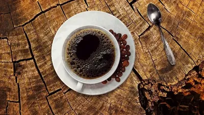 Дәмхана, Абай облысы, Аягөз, қытайлықтар, видео, желі, сурет - Zakon.kz жаңалық 25.11.2025 21:48