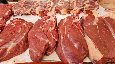 Ет, экспорт, тыйым, күшін жою, депутат, ұсыныс, Темір Қырықбаев, сурет - Zakon.kz жаңалық 26.11.2025 21:56