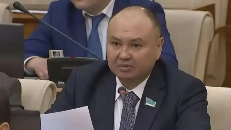 "Шығыны шаш етектен": Мәжіліс депутаттары аудан әкімдерінің сайлауына қатысты пікір білдірді