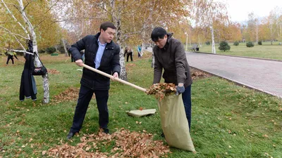 Алматыда қалалық ортаның сапасын арттыруға және экологиялық мәдениетті дамытуға бағытталған "Таза Қазақстан" бағдарламасының жүзеге асырылуына арналған кеңес өтті. , сурет - Zakon.kz жаңалық 28.11.2025 12:23