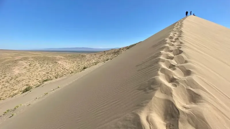 Жамбыл облысында жоғалып кеткен көліктегі үш жігіт аман-есен табылды
