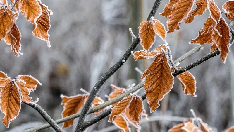 "Қар, тұман, көктайғақ". Еліміздің барлық өңірінде дауылды ескерту жарияланды