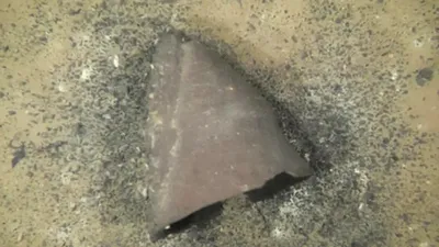 Жапонияда әлемдегі ең көне жәдігерлердің бірі табылды, сурет - Zakon.kz жаңалық 01.12.2025 12:26