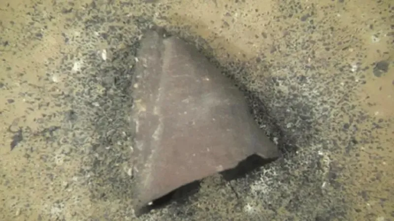 Жапонияда әлемдегі ең көне жәдігерлердің бірі табылды