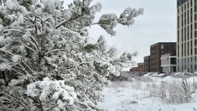 Қазақстанның басым бөлігінде тұман түсіп, көктайғақ болады, сурет - Zakon.kz жаңалық 02.12.2025 22:10