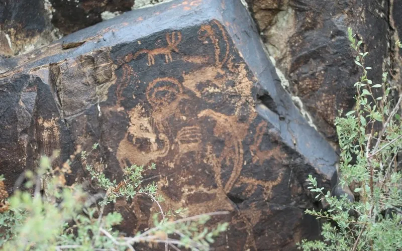 Қазақстанның үш өңірінде 11 жаңа петроглиф табылды