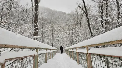 Қазақстанға қар, жаңбыр және боран жақындап келеді, сурет - Zakon.kz жаңалық 02.12.2025 18:19