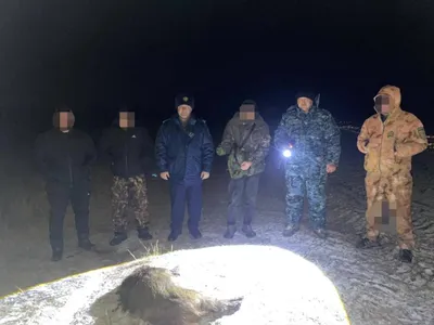 Қостанай облысында қабанның денесін сүйреп бара жатқан ер адам жазаланды, сурет - Zakon.kz жаңалық 05.12.2025 19:13