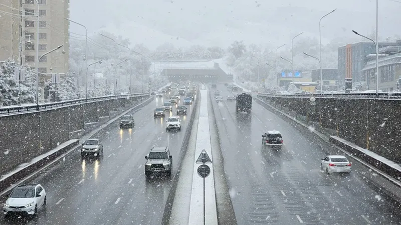 +8°C-тен -14°C-қа дейін: Алматыда бір апта ішінде ауа райы күрт өзгереді