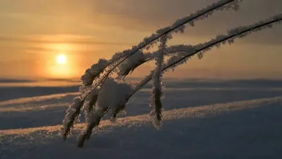 Аяз, боран, қар, 9 желтоқсан, ауа райы болжамы, Қазақстан, дауылды ескерту, сурет - Zakon.kz жаңалық 08.12.2025 21:19