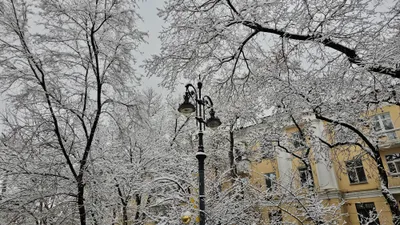 Қар, көктайғақ және жел: 10 желтоқсанда қай өңірлерде ескерту жасалды, сурет - Zakon.kz жаңалық 09.12.2025 22:45