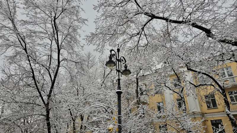 Қар, көктайғақ және жел: 10 желтоқсанда қай өңірлерде ескерту жасалды