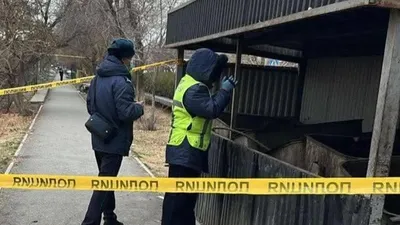 Түркістан облысында қоқыс контейнерінен жаңа туған сәбидің мәйіті табылды, сурет - Zakon.kz жаңалық 09.12.2025 20:08