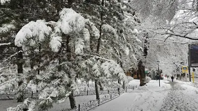 Аяз, боран, қар, 11 желтоқсан, ауа райы болжамы, Қазақстан, сурет - Zakon.kz жаңалық 10.12.2025 17:45