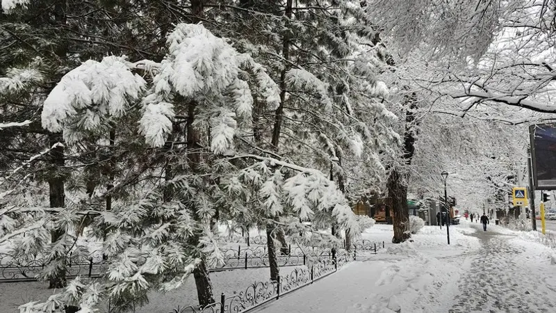 -25°С. Синоптиктер қатты аяз болатын өңірлерді атады