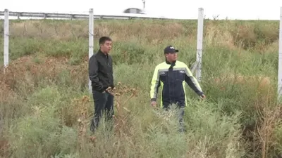 Аңға шыққан қазақстандық досып атып өлтірді , сурет - Zakon.kz жаңалық 11.12.2025 14:04