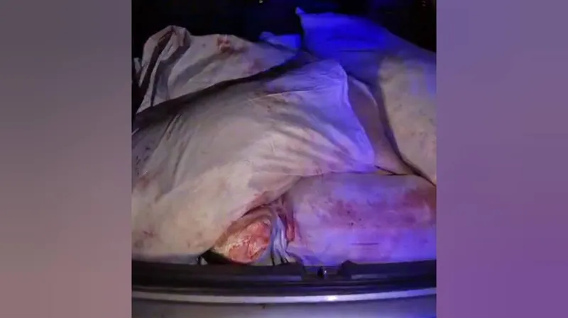 БҚО-да төрт елікті атқан браконьерлер ұсталды