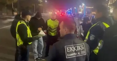 Алматыда интернет-дүкен арқылы есірткі таратқан қылмыстық схема әшкереленді, сурет - Zakon.kz жаңалық 11.12.2025 17:10