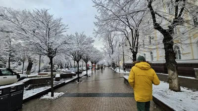 Жауын-шашын, боран және екпінді жел: синоптиктер 14 желтоқсанға арналған ауа райы болжамын ұсынды, сурет - Zakon.kz жаңалық 13.12.2025 16:25
