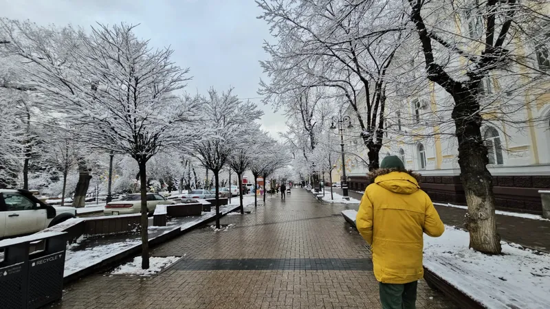 Жауын-шашын, боран және екпінді жел: синоптиктер 14 желтоқсанға арналған ауа райы болжамын ұсынды