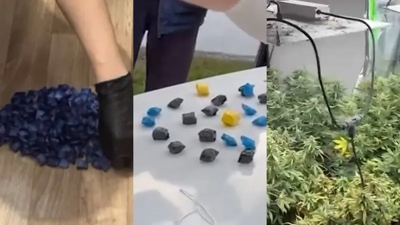 Алматыда жыл басынан бері 600 есірткі қылмысы анықталды