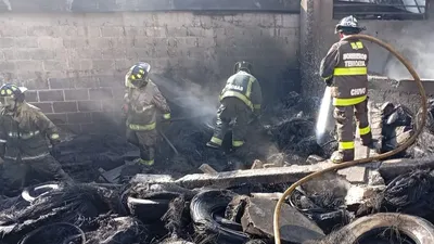 Мексикада адамдар мінген жеке бизнес-ұшақ апатқа ұшырады, сурет - Zakon.kz жаңалық 16.12.2025 11:14