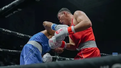 Шымкент Қазақстан бокс федерациясының Кубогын жеңіп алды, сурет - Zakon.kz жаңалық 16.12.2025 17:05