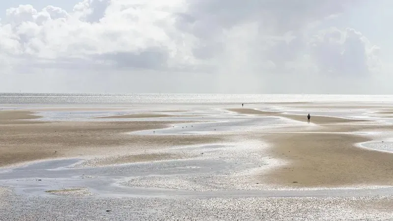 Түркияда Мәрмәр теңізі тартылды