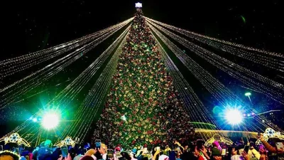 Шырша, Жаңа жыл, Астана, шам, сурет - Zakon.kz жаңалық 17.12.2025 19:18