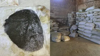 Түркістан облысында ер адамның ауласынан 40 қап насыбай табылды, сурет - Zakon.kz жаңалық 18.12.2025 18:52