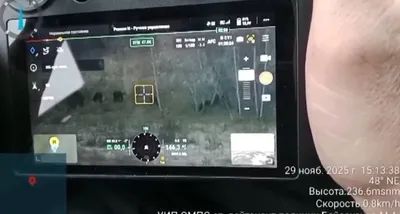 СҚО-да полицейлер жоғалған 45 жылқыны тауып, иелеріне қайтарды, сурет - Zakon.kz жаңалық 18.12.2025 19:13