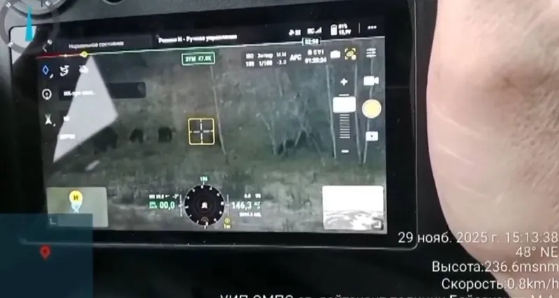 СҚО-да полицейлер жоғалған 45 жылқыны тауып, иелеріне қайтарды