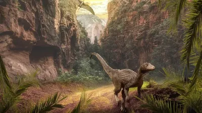 Италияда олимпиадалық трасса маңынан 20 мыңнан астам динозавр ізі табылды, сурет - Zakon.kz жаңалық 18.12.2025 13:25