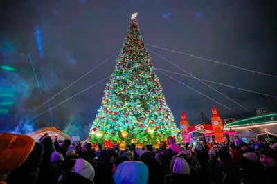 Астанада бір мезетте 40-тан астам шыршаның шамы жағылды, сурет - Zakon.kz жаңалық 19.12.2025 19:53