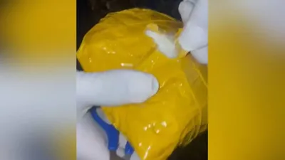 Жамбыл облысында полиция есірткі арнасының жолын кесті, сурет - Zakon.kz жаңалық 19.12.2025 19:41