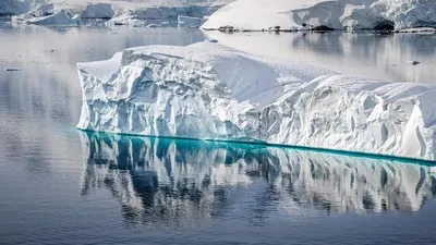 Антарктида, мұз, робот, ғылыми жаңалық, сурет - Zakon.kz жаңалық 21.12.2025 12:15