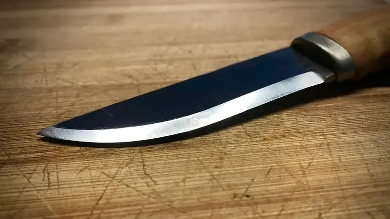 Алматыда пышақ ұстаған студент ұстазына шабуылдады деген күдікке ілінді