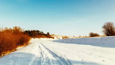 Аяз, боран, Екібастұз, Шідерті, автобус, бұзылу, жолаушылар, эвакуация, сурет - Zakon.kz жаңалық 21.12.2025 09:42