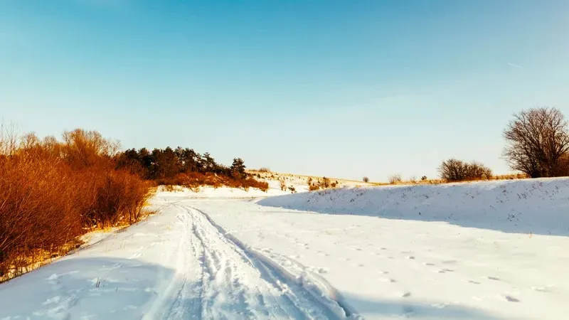 Жолаушы толы автобус Екібастұз қаласы маңында бұзылып, орта жолда қалып кеткен