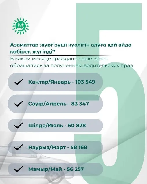 Статистика, жүргізуші куәлігі, 2025 жыл, сурет - Zakon.kz жаңалық 23.12.2025 18:11