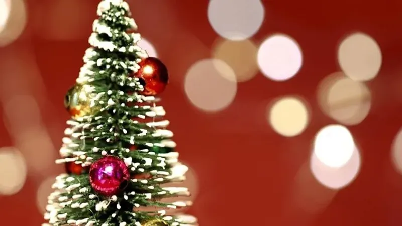 Түркістан облысында жеңіл көлік көшедегі бас шыршаға соғылды