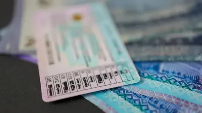 Жүргізуші куәлігі, 2025, статистика, сурет - Zakon.kz жаңалық 23.12.2025 18:11