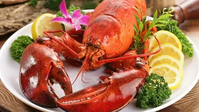 Ұлыбританияда тірі шаяндар мен омарларды пісіруге тыйым салынады, сурет - Zakon.kz жаңалық 24.12.2025 12:09