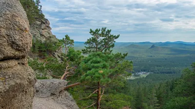"Ұят жағдай" - Тоқаев Бурабайдағы тазалық туралы, сурет - Zakon.kz жаңалық 24.12.2025 17:21